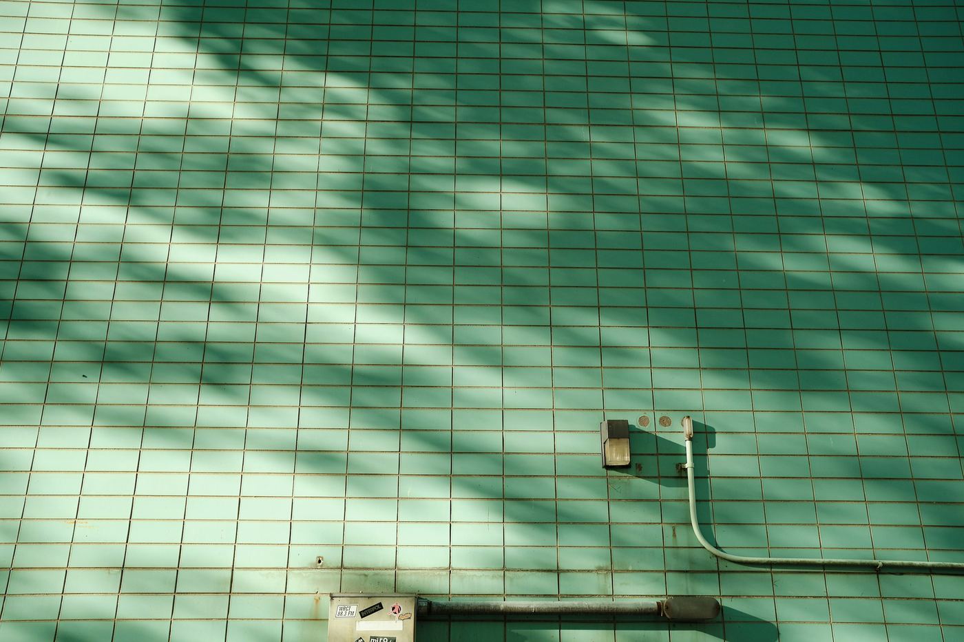 Green pool tile under dappled shade from a tree